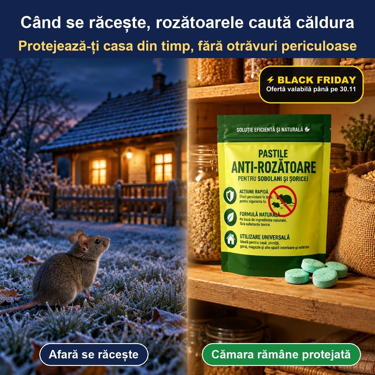 Black Friday