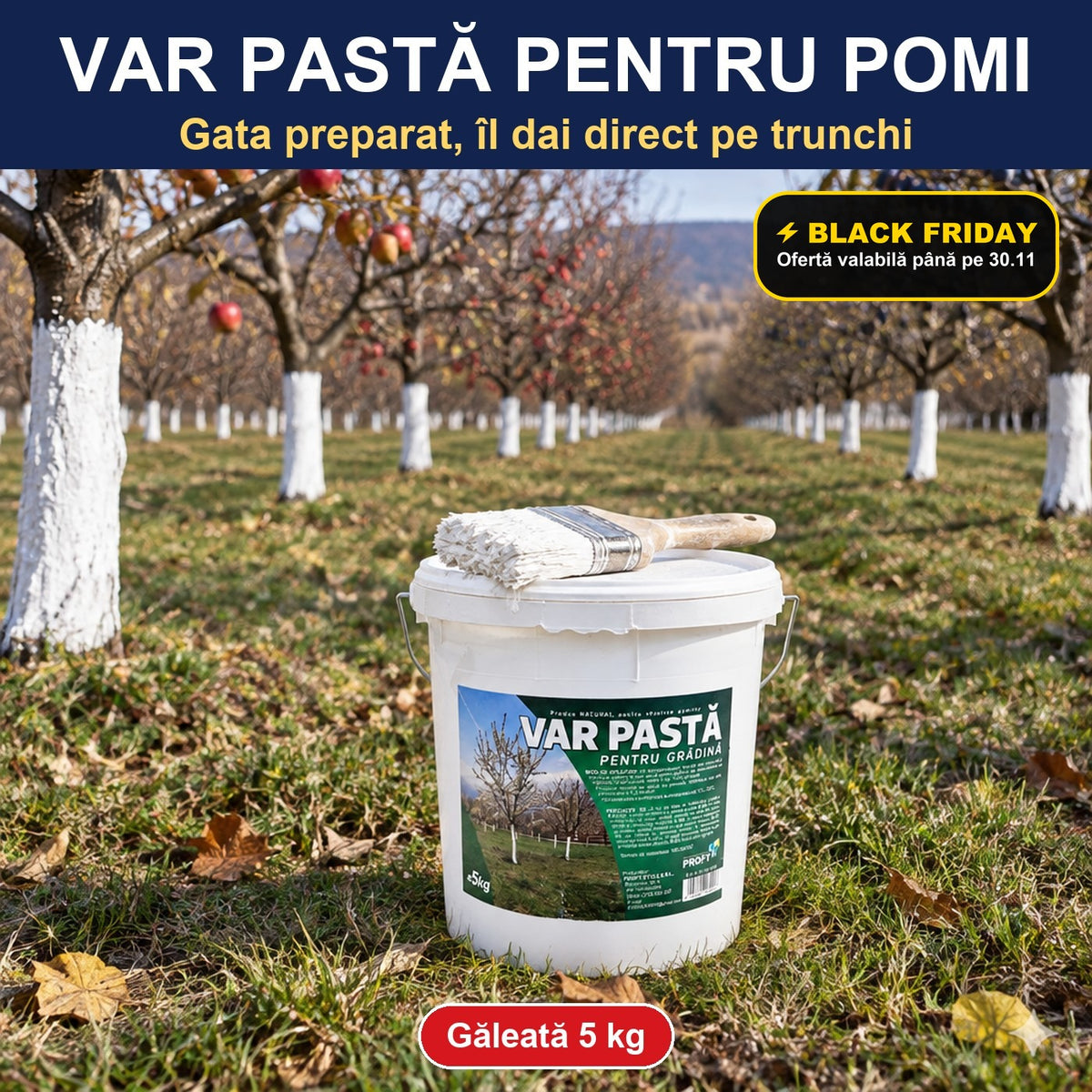 Var pastă pentru pomi, găleată 5 kg – Black Friday